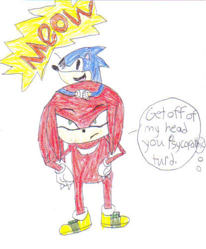  Knuckles and retarded sonic