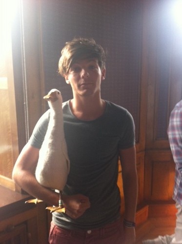  New twitter pic of Louis! ♥