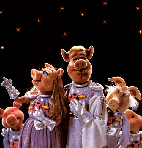  Pigs in अंतरिक्ष