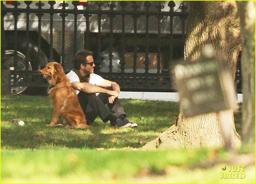  Ryan Reynolds: Boston Garden with Baxter!