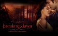 breaking dawn Wallpaper - Esme Libra - twilight-series wallpaper