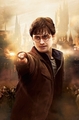Harry Potter <3  - harry-potter photo