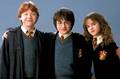 Harry and friends - harry-potter photo