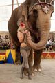Marlena stills - water-for-elephants photo
