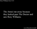 Rory Williams - doctor-who photo