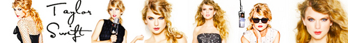  Taylor banner suggestion #2