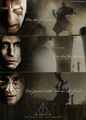 The Deathly Hallows - harry-potter photo