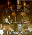 The Potter Family - harry-potter photo
