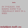 Twilight Facts - critical-analysis-of-twilight fan art