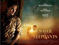 WFE poster - water-for-elephants photo