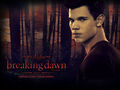twilight-series - Breaking Dawn Wallpaper wallpaper