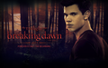 twilight-series - Breaking Dawn Wallpaper wallpaper