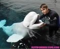 Justin Beiber in Bahamas with Dolphin - justin-bieber photo