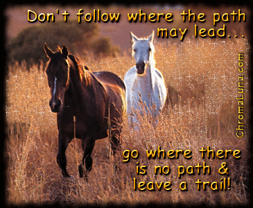 Leave a Trail <3