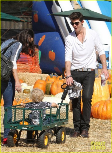  Robin Thicke & Paula Patton: citrouille Patch with Julian!