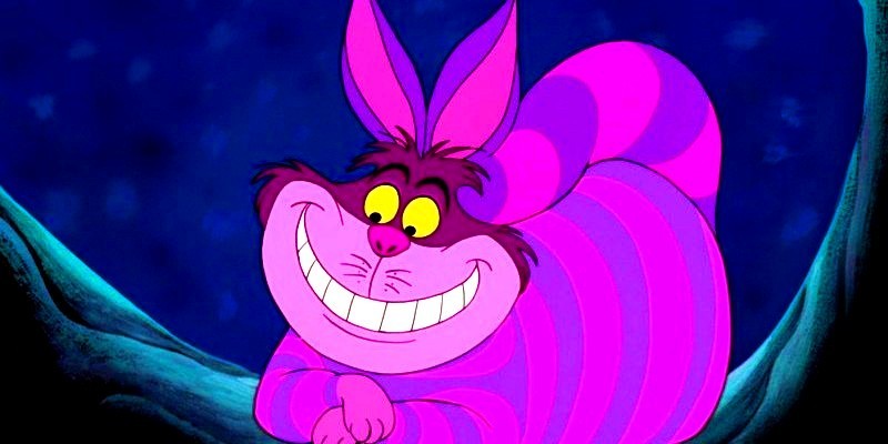 http://images5.fanpop.com/image/photos/25900000/The-Cheshire-Cat-alice-in-wonderland-25961730-800-400.jpg
