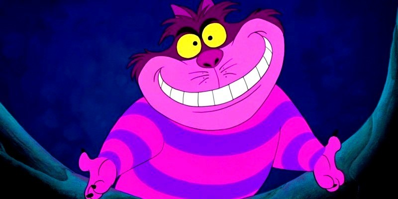 http://images5.fanpop.com/image/photos/25900000/The-Cheshire-Cat-alice-in-wonderland-25961731-800-400.jpg