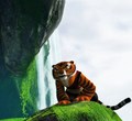 Tigress - master-tigress photo
