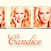 Candice!♥ - candice-accola icon