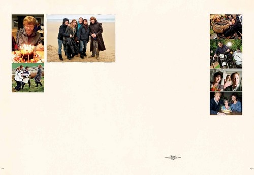  Harry Potter Page to Screen