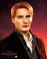 New Posters  From Breaking Dawn! - twilight-series photo