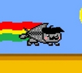 Portuguese Nyan Cat - nyan-cat photo