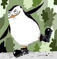 Skippy Wearing Camp Boots - penguins-of-madagascar fan art