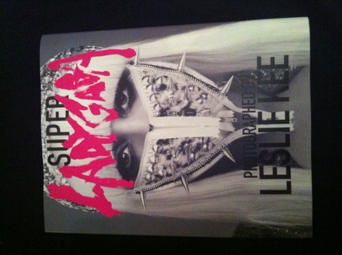  Super Lady GaGa Leslie Kee Book