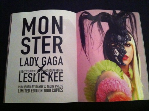  Super Lady GaGa Leslie Kee Book