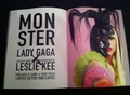 Super Lady Gaga Book by Leslie Kee - lady-gaga photo