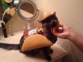 Taco Cat - nyan-cat photo