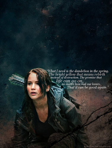  The Hunger Games Фан Art