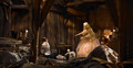 These thingies are BARBIE DOLL SCENES! - barbie-movies photo