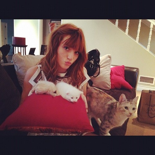  Bella and her kitten.
