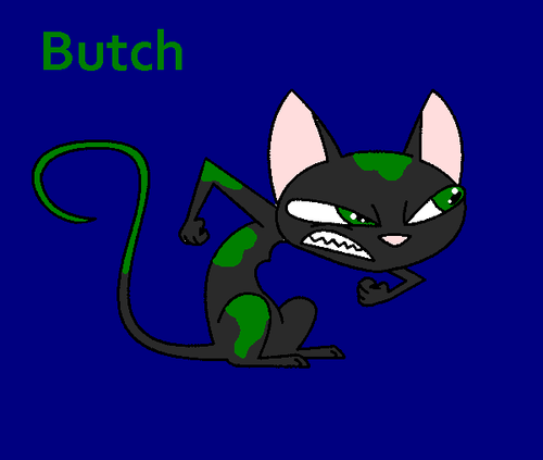  Butch