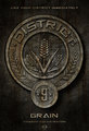 District 9 (Grain) - the-hunger-games-movie photo