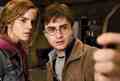 Harry Potter Deathly Hallows - harry-potter photo