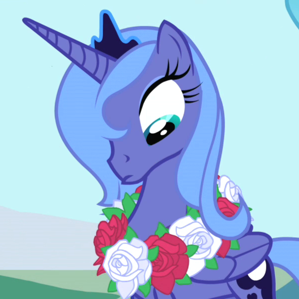 My Little Pony friendship is Magic meet Princess Luna