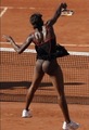 Venus Williams - tennis photo