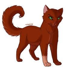 Willowclan Cats