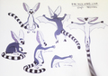 ring tailed winged lemur concept - avatar-the-legend-of-korra photo