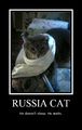 russia cat :3 - random photo