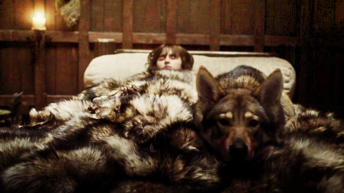 Bran Stark and Summer
