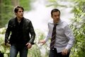 Episode 1.02 - Bears Will Be Bears - grimm photo