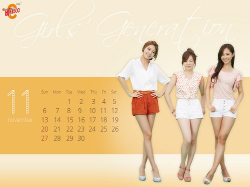 Girls' Generation Vita500 November Calendar