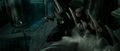 Harry Potter - Deathly Hallows II - hermione-granger screencap