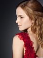Harry Potter and the Deathly Hallows - Photoshoot - emma-watson photo