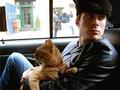 Ian's cat!! - ian-somerhalder-and-nina-dobrev photo