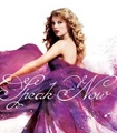 Some of my fan made covers for songs from SPEAK NOW - taylor-swift fan art