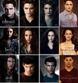 Twilight Saga - twilight-series fan art